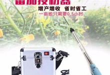 番茄花粉的授粉过程及机制（揭秘番茄花粉如何完成授粉过程，从而实现繁殖生育）