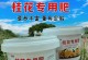 秋天桂花树的施肥技巧（让桂花树健康茂盛的秘诀）
