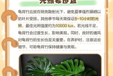 养护长径龟背竹的完全指南（打造绿意盎然的家居空间，轻松养护长径龟背竹）
