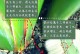 天堂鸟叶子烂掉怎么办？（解决天堂鸟叶子腐烂的有效方法）