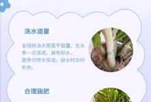 如何处理金钱草叶片变黄问题（解决金钱草叶片变黄的简单有效方法）
