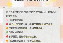 养护小月季的绝佳方法（打造美丽花园的秘密武器）