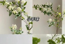 插满天星花的花瓶之美（用满天星花点缀你的生活，让花瓶焕发新意）