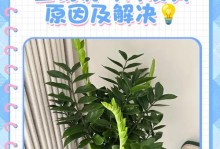 金钱兜叶子发黄的处理之道（金钱兜叶子发黄的原因和解决办法）