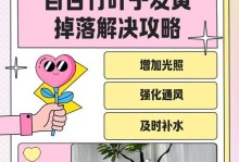 竹子叶黄了怎么办？（保护竹子叶的关键方法和注意事项）