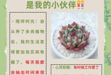多肉植物种子的收集与繁殖技巧（培养多肉花园，从种子开始）