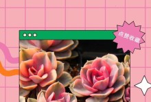 多肉植物变紫了怎么办？（多肉植物变紫的原因及护理方法）