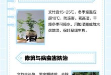 冬季文竹施肥技巧（冬天文竹如何正确施肥以促进健康生长）
