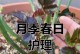 如何科学合理地给月季浇水（月季浇水技巧，让花儿更美丽绽放）