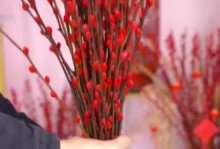 冬日花朵的奇迹（寒冬蔓延，花儿依然怒放，谱写生命之歌）