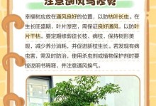 培育茂盛的幸福树，享受高质量生活
