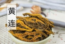 黄连属于双子叶植物吗？（探究黄连的分类学归属）