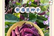 红眉豆种植全攻略（掌握红眉豆种植方法，丰收美味）