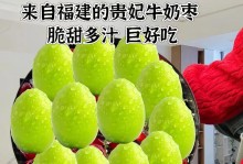 大青枣套种的好处及适合搭配作物（提高土地利用率，增加农民收益的有利之举）
