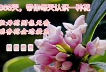 瑞香的花期（瑞香花期多长时间？掌握这些时间点，欣赏瑞香美景不误时机）