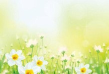 瓜叶菊不开花的原因（探究瓜叶菊为什么不开花的多种原因）