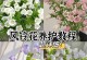 钟花樱的浇水养护时间（如何科学合理地给钟花樱浇水）