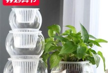 以水培花放进定植篮的技巧（掌握关键步骤，成功将水培花移栽到定植篮中）
