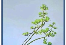 文人树盆景的养护之道（打造别具一格的室内盆景，让文人风雅在家中绽放）