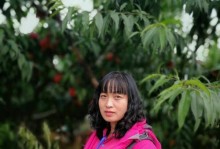 以桃一燕怎么了？（揭秘桃一燕近况，为何引发争议？）