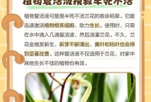 兰草叶子发黄的原因及处理方法（保护兰草叶子健康成长，让其恢复翠绿生机）