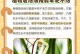 兰草叶子发黄的原因及处理方法（保护兰草叶子健康成长，让其恢复翠绿生机）