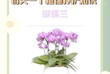 醉蝶花的繁殖之道（探索醉蝶花的播种方法及技巧）