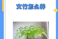 文竹长出长枝条的处理方法（有效管理文竹长枝条，保持植物健康生长）