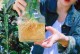 万年青的浇水技巧与方法（打造美丽春秋季花园的秘诀）