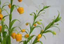 金铃花叶子发黄的原因及解决方法（植物生长状况的重要指示，肥料、浇水、光照等因素的影响）