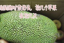 菠萝蜜树不结果怎么办（菠萝蜜树不结果的原因与处理方法）