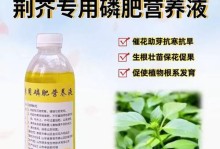 盆栽菜如何施肥？（以盆栽菜育种为主题的施肥方法及技巧）