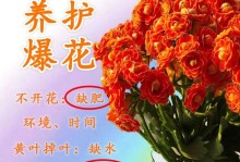 长寿花为什么会打蔫？如何处理？（长寿花打蔫的原因及解决方法，让你的长寿花再次焕发生机）