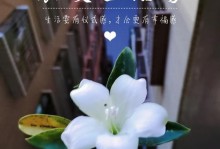 如何养护非洲茉莉花促使其开花（掌握关键技巧，让你的非洲茉莉花绽放迷人花朵）