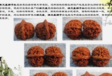 十大好吃的核桃品种排行榜（了解这些核桃品种，让你吃出不一样的味道）