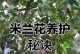 盆栽米兰的浇水技巧（掌握浇水频率和量，让盆栽米兰健康茁壮）