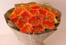 父亲节送什么花合适（为父亲节挑选最佳礼物，送上温馨祝福）