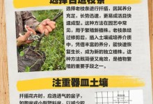 以光棍树烂根怎么扦插（实用技巧和步骤，成功种植光棍树烂根的方法）