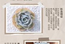 宝丽安娜多肉的插迁技巧（掌握正确方法，成功繁殖宝丽安娜多肉）