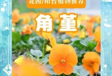 角堇花开后的护理与管理（充足水分是关键，合理修剪使其绽放更久）
