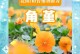 角堇花开后的护理与管理（充足水分是关键，合理修剪使其绽放更久）