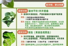 栀子花底下叶子发黄的原因及处理方法（解析栀子花叶子发黄的因素以及有效的处理办法）