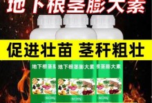 洋葱生根的快速方法（掌握这个关键步骤，让洋葱迅速生根）
