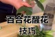 盆栽百合花的修剪技巧（打造健康美丽的百合盆栽，关键在于修剪）