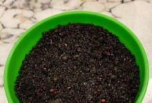 丰富营养的凤仙花种子（探究凤仙花种子的营养价值与食用方法）