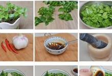 可以浇醋？吊兰的养护秘诀（教你如何正确用醋为吊兰浇水，让它更健康茁壮）