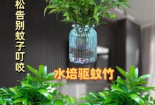 无叶竹水培技巧大揭秘（打造独特的水中花园，以水培无叶竹为突破口）