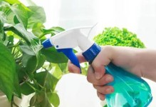 洗米水竟然可以浇植物？！（探究洗米水的神奇用途，解读其营养价值与科学原理）