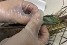 双线竹芋叶尖干枯的原因及解决方法（保护你的双线竹芋免受干燥的侵害）