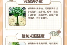 发财树叶子全部发黄了怎么办？（发财树叶子发黄可能原因及护理方法）
